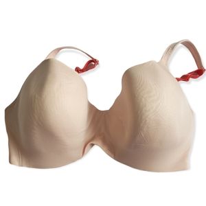 36H Light Pink Deesse Bra